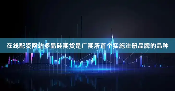 在线配资网站多晶硅期货是广期所首个实施注册品牌的品种